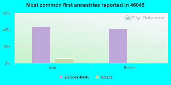 Most common first ancestries reported in 46045