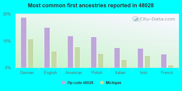 Most common first ancestries reported in 48028