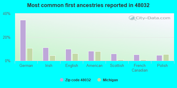 Most common first ancestries reported in 48032