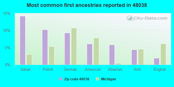 Most common first ancestries reported in 48038