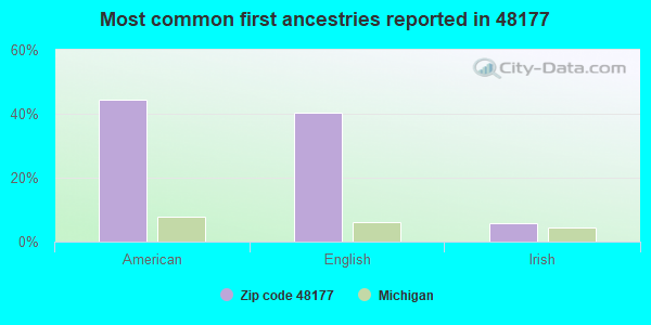 Most common first ancestries reported in 48177