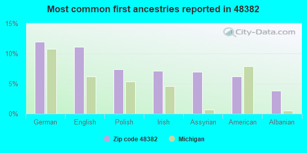 Most common first ancestries reported in 48382