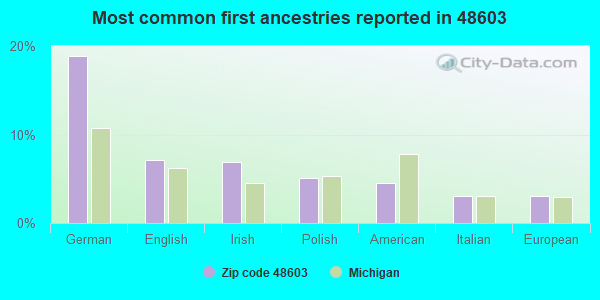 Most common first ancestries reported in 48603