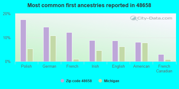 Most common first ancestries reported in 48658