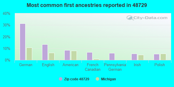 Most common first ancestries reported in 48729