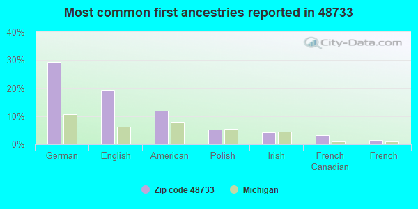 Most common first ancestries reported in 48733