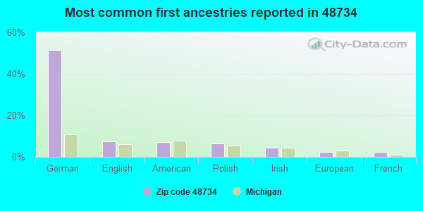 Most common first ancestries reported in 48734