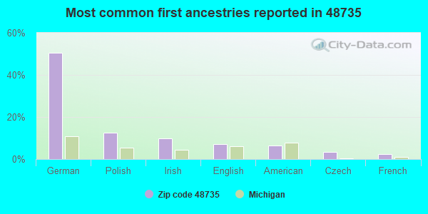 Most common first ancestries reported in 48735