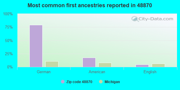 Most common first ancestries reported in 48870