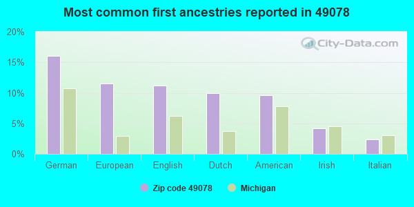 Most common first ancestries reported in 49078