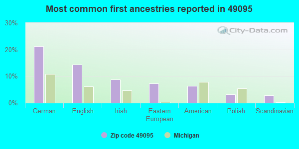 Most common first ancestries reported in 49095