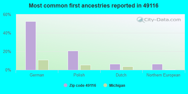 Most common first ancestries reported in 49116