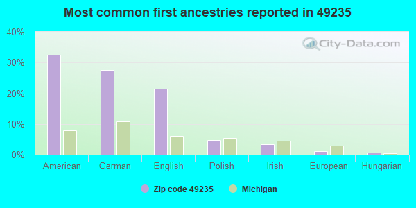 Most common first ancestries reported in 49235