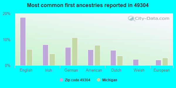 Most common first ancestries reported in 49304
