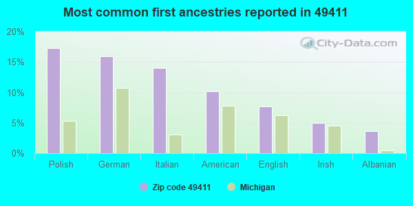 Most common first ancestries reported in 49411