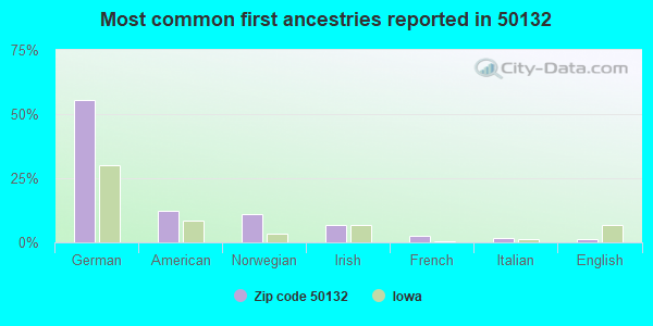 Most common first ancestries reported in 50132