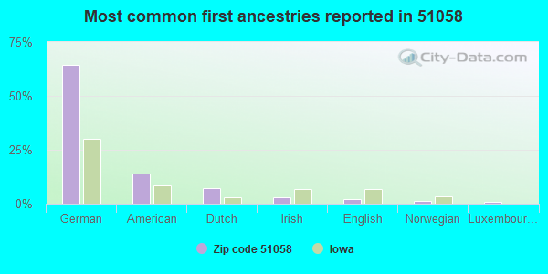Most common first ancestries reported in 51058