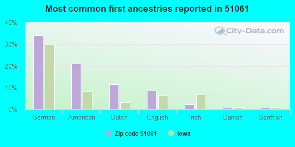 Most common first ancestries reported in 51061