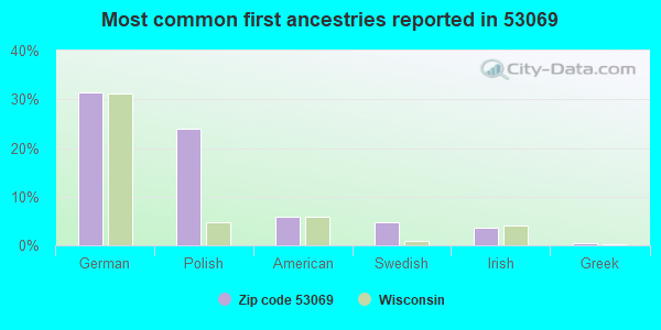 Most common first ancestries reported in 53069