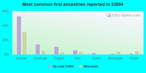 Most common first ancestries reported in 53804