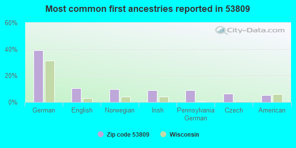 Most common first ancestries reported in 53809