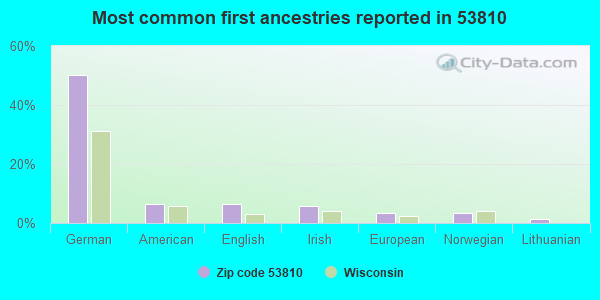 Most common first ancestries reported in 53810