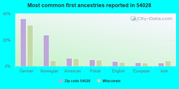 Most common first ancestries reported in 54028