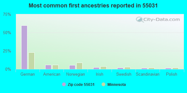 Most common first ancestries reported in 55031