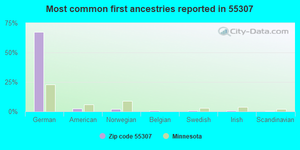 Most common first ancestries reported in 55307