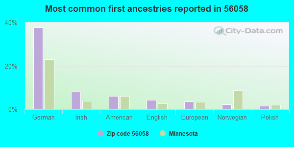 Most common first ancestries reported in 56058