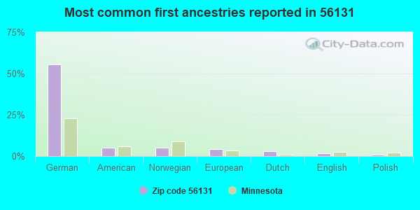 Most common first ancestries reported in 56131