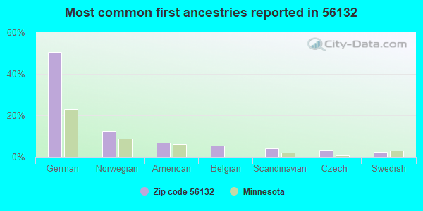 Most common first ancestries reported in 56132