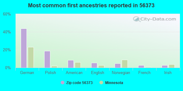 Most common first ancestries reported in 56373