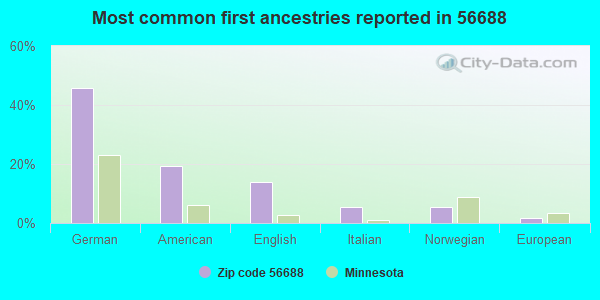 Most common first ancestries reported in 56688
