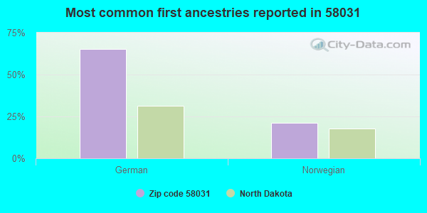 Most common first ancestries reported in 58031