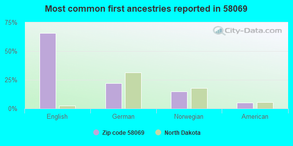 Most common first ancestries reported in 58069