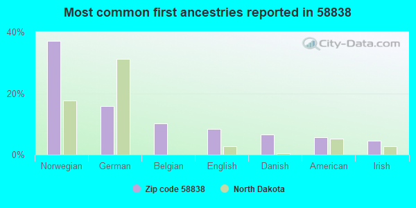Most common first ancestries reported in 58838