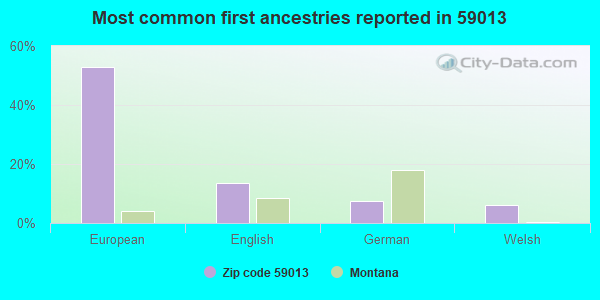 Most common first ancestries reported in 59013