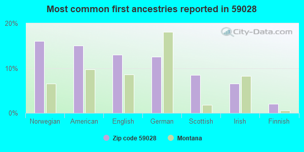 Most common first ancestries reported in 59028