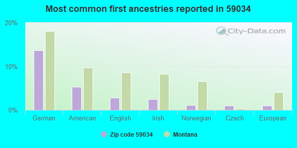 Most common first ancestries reported in 59034