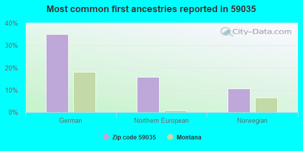 Most common first ancestries reported in 59035