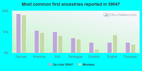 Most common first ancestries reported in 59047