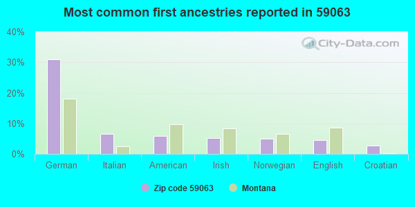 Most common first ancestries reported in 59063