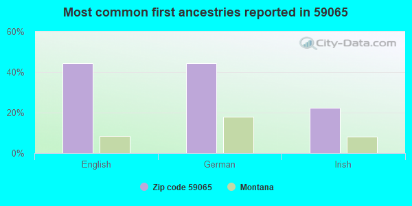 Most common first ancestries reported in 59065