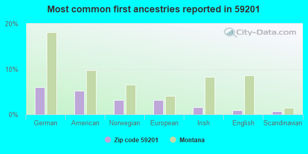 Most common first ancestries reported in 59201