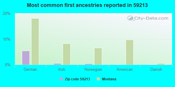 Most common first ancestries reported in 59213