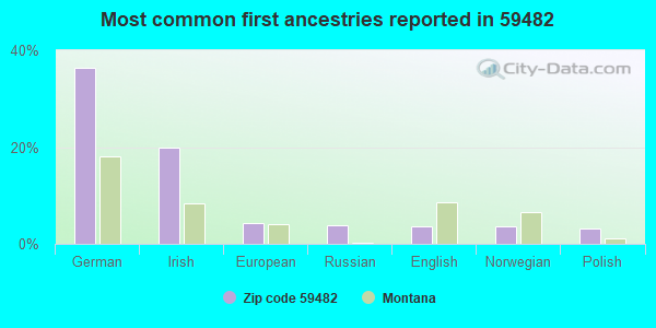 Most common first ancestries reported in 59482