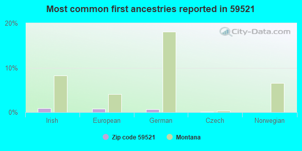 Most common first ancestries reported in 59521