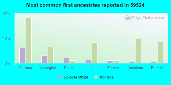 Most common first ancestries reported in 59524