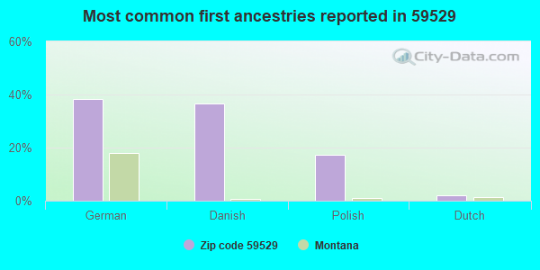 Most common first ancestries reported in 59529